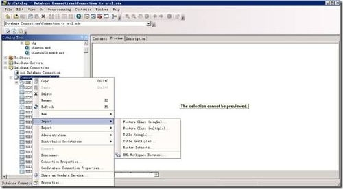 ArcGIS 10.2 地图服务发布与基础软件服务使用详解